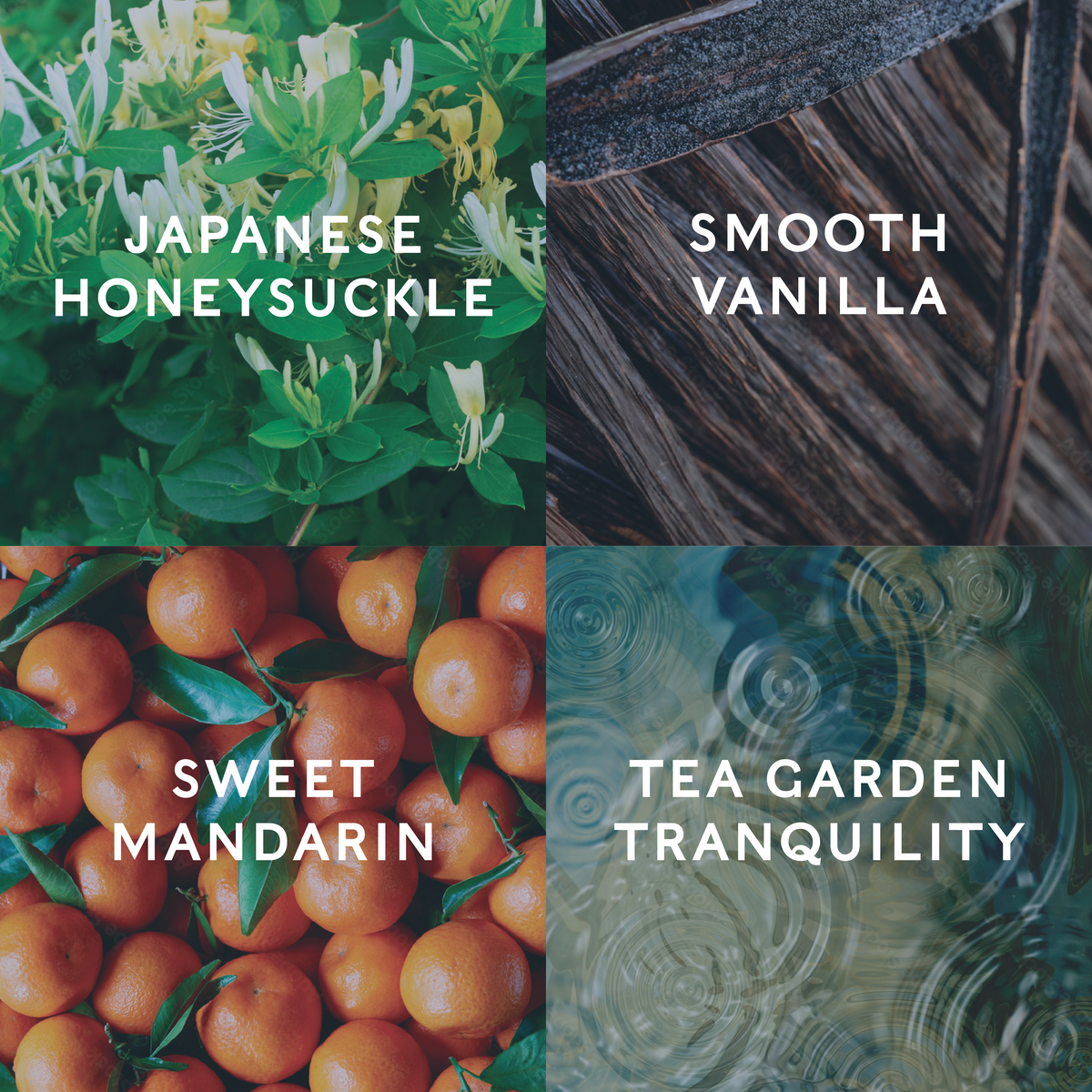 Four different images labeled 'Japanese Honeysuckle', 'Smooth Vanilla', 'Sweet Mandarin', and 'Tea Garden Tranquility' showing the candle scent notes.
